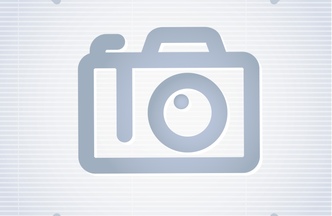 Жуковская елка